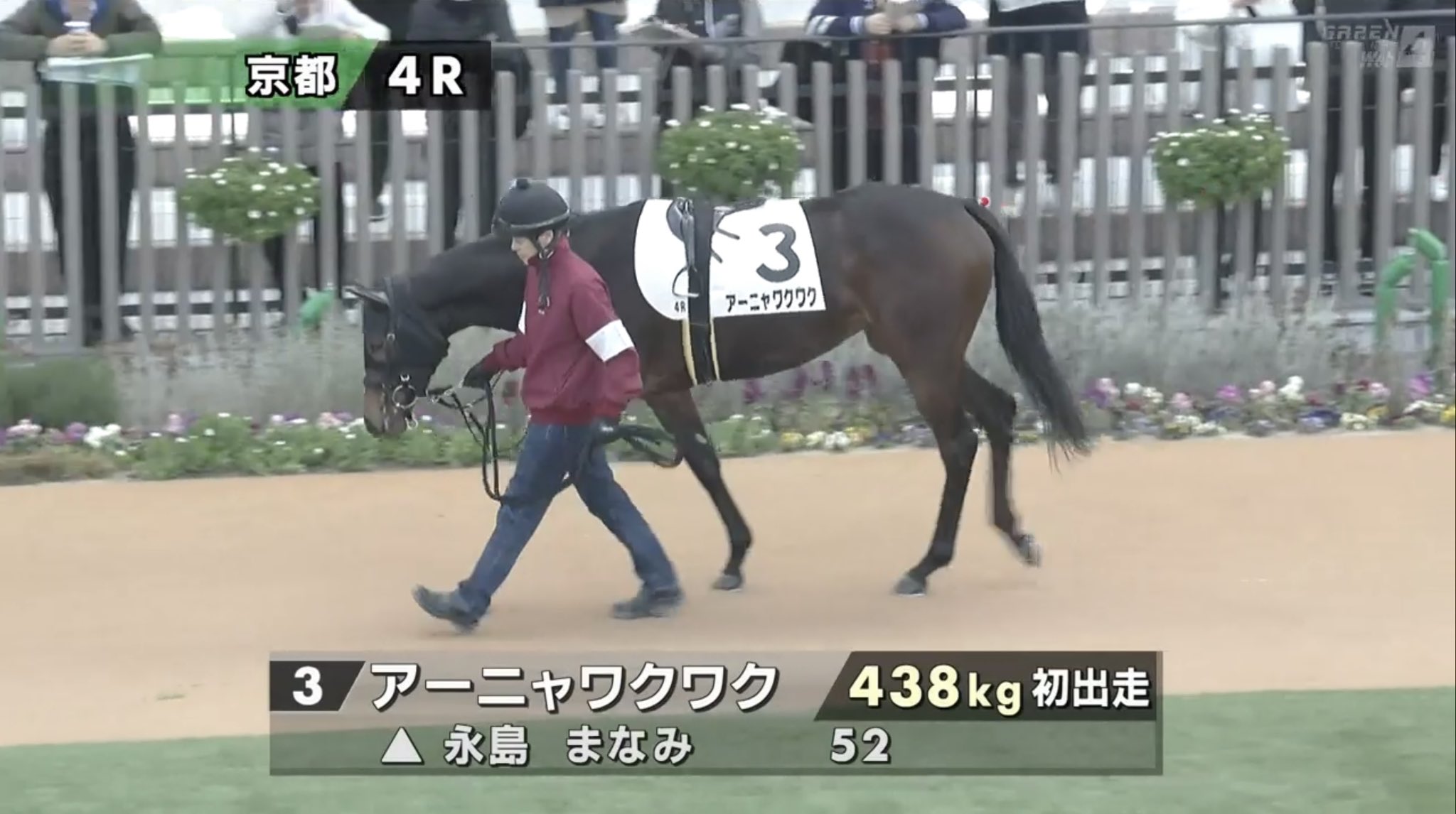 夏休みを楽しく過ごすアーニャとSPY FAMILY劇場版の魅力