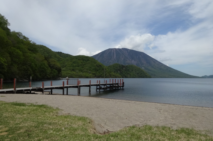 千手ヶ浜に咲くクリンソウ : ありふれたサッチャンの日々