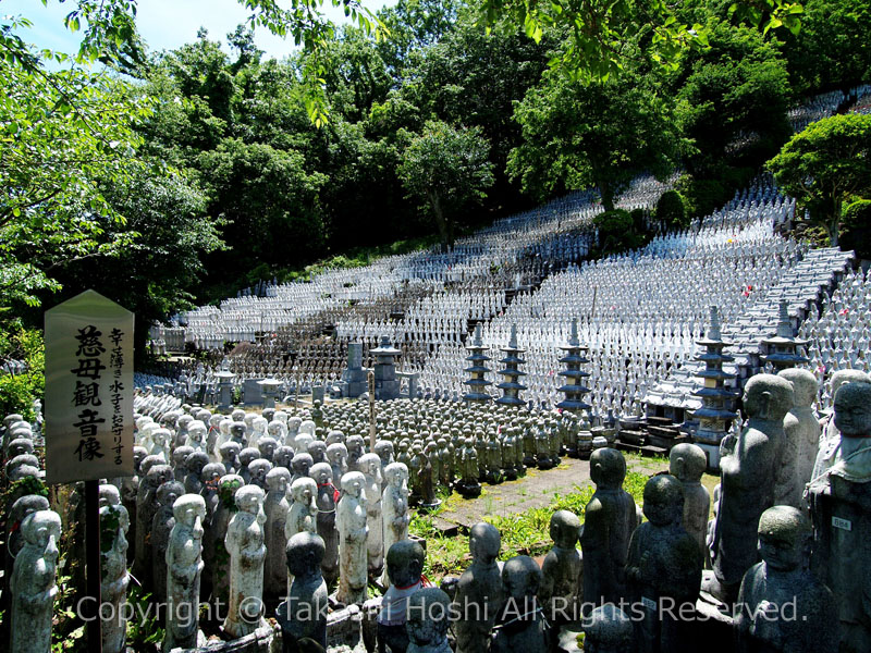 うさみ観音寺とおさかな食堂『やまや』 – あじこめ channel