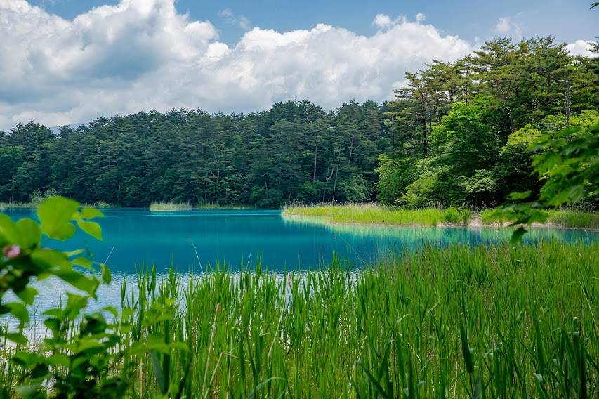 緑に赤、そして神秘的な青！見るたびに色が変わる、福島「五色沼」