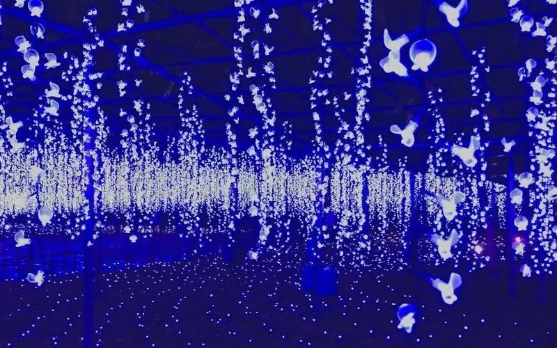 ドライブデートにおすすめ！栃木・宇都宮夜景10選