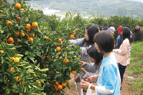 鹿島神宮の見どころ・参拝時間・ご祈祷・御朱印・アクセス・駐車場・散策の所要時間を紹介＜実体験レポート＞トラベル ウェガジン TravelWegazine