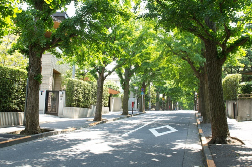 千石」お屋敷町の面影を残す高級住宅街 - 活動・飲食ニュース飲食店物件・居抜き物件・貸店舗をお探しなら居抜き店舗.com