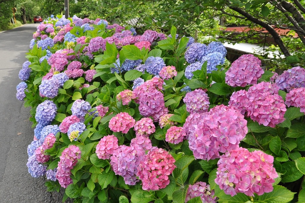 墨俣一夜城 大垣市墨俣歴史資料館岐阜 大垣 おすすめの人気観光・お出かけスポット -