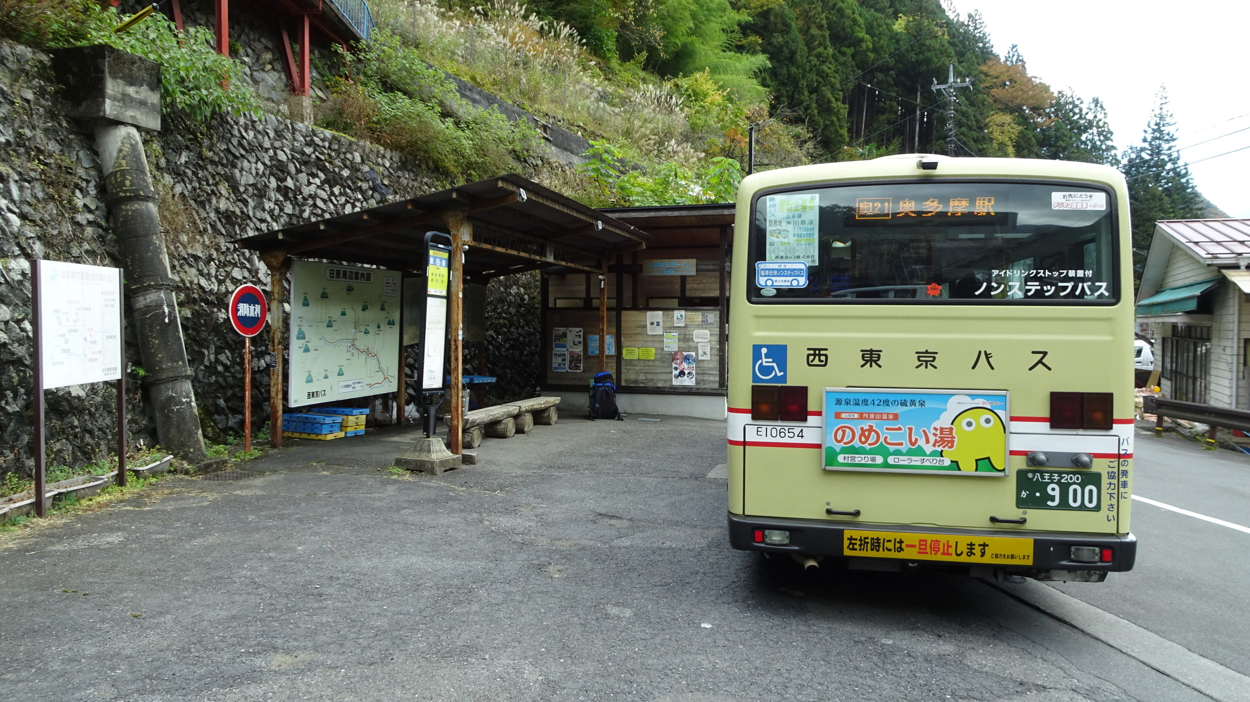 タチオンWalking ウォーキング -奥多摩・日原、巨樹と鍾乳洞めぐり 奥多摩町