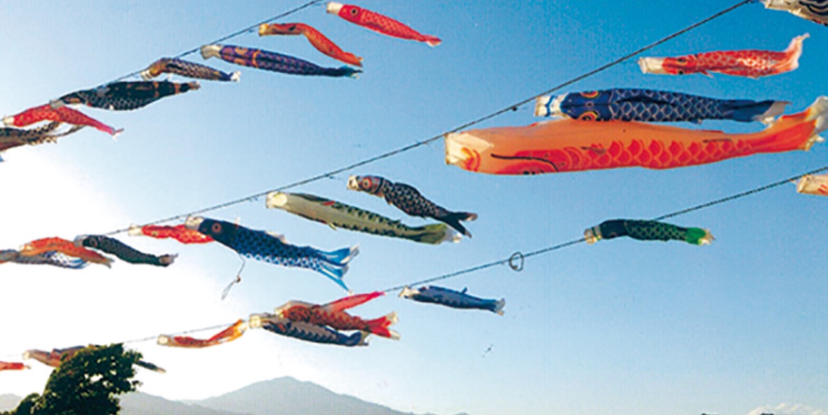 鈴川鯉のぼりまつり 2024年雄大な富士山をバックに 優雅に泳ぐ200匹のこいのぼり神奈川県平塚市いこーよとりっぷ