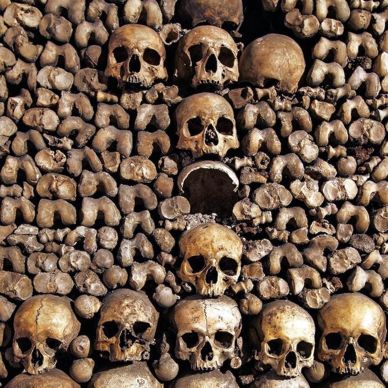 パリのカタコンブ、納骨堂への入場チケットをお得に予約しよう！funBooky