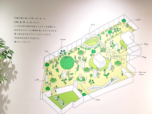 伊丹市 超柔らかいお肉！JR伊丹駅すぐ酒蔵通りの鉄板ダイニング「十一 といち 」。特別な日に贅沢なひとときを。ランチなら比較的リーズナブル！号外NET 伊丹市