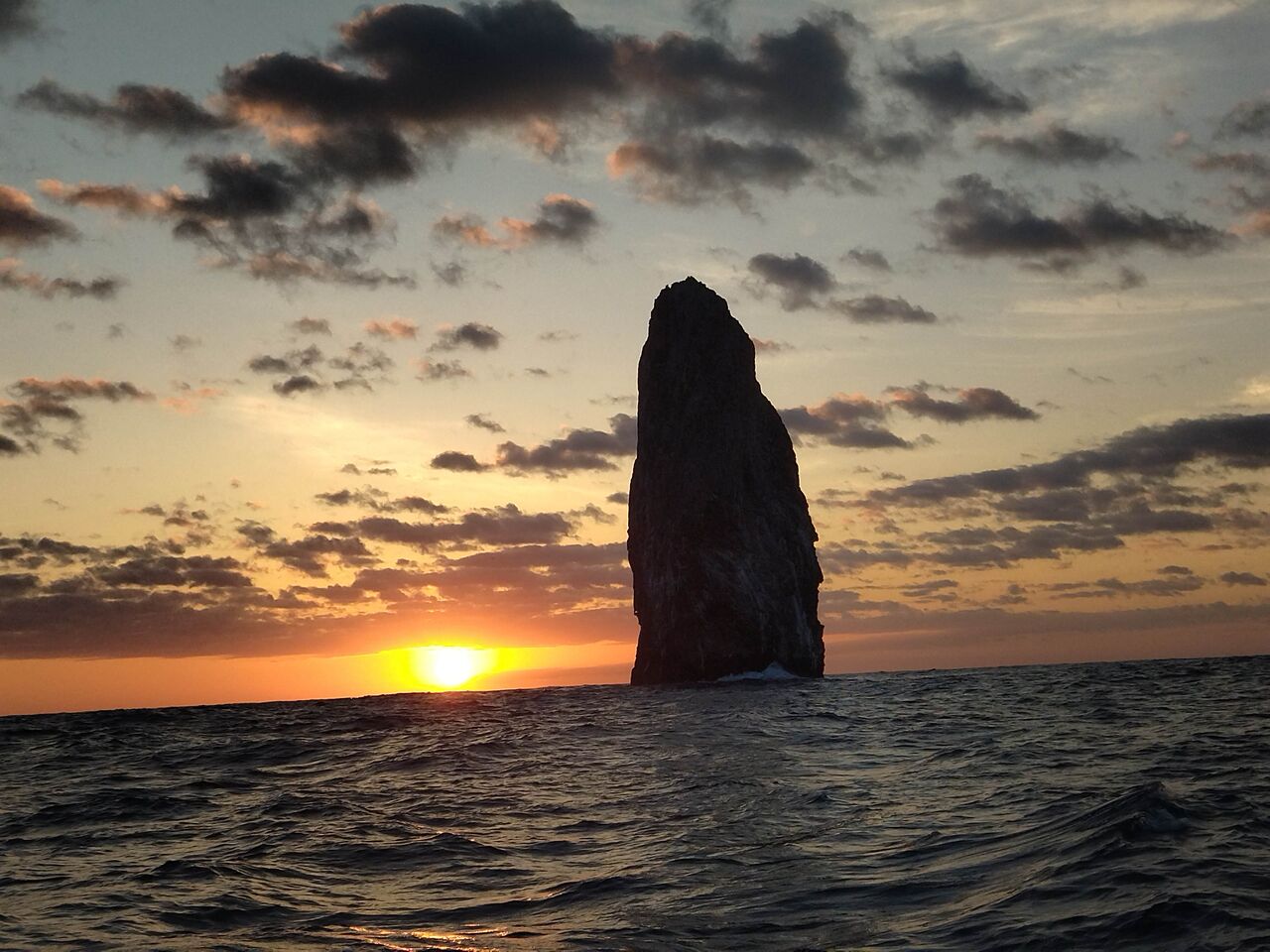 Iwashi Divers 豆南諸島