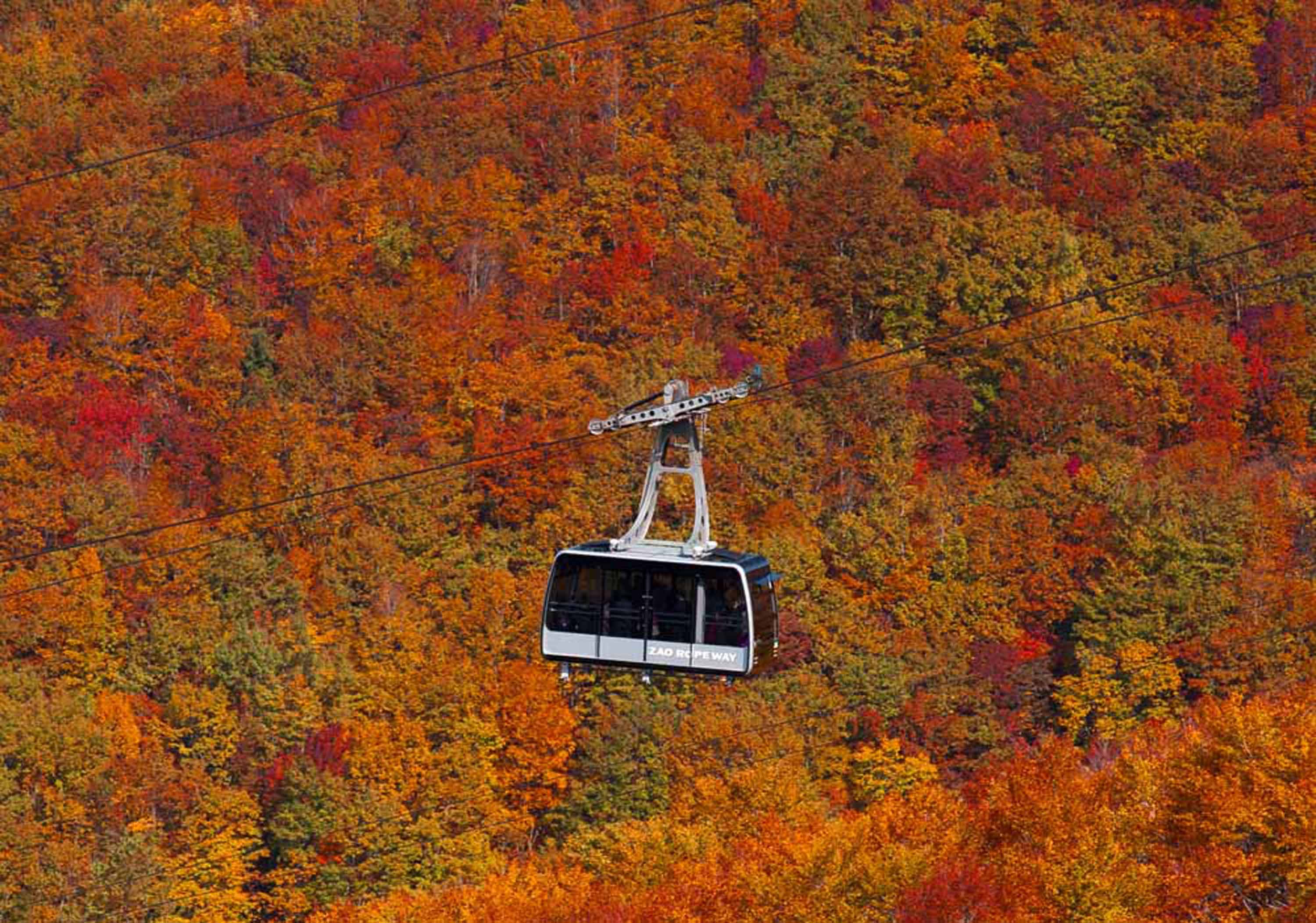 2025年 蔵王ロープウェイ山麓線 - 出発前に知っておくべきことすべて