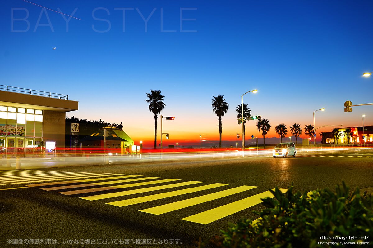 湘南の人気海水浴スポットと楽しみ方ガイド英国アンティーク博物館BAM鎌倉