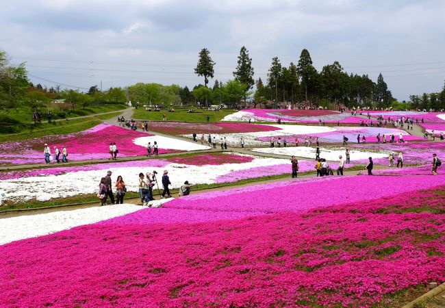 岩畳に羊山公園、三峯神社も！長瀞・秩父1日観光おすすめモデルコースNAVITIME Travel