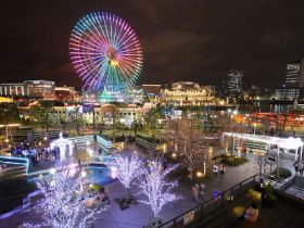 横須賀海軍工廠造兵部跡の夜景を撮るTokyo Night View
