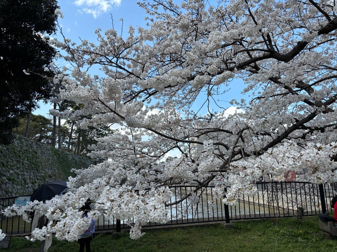 津城跡観光スポット観光三重 かんこうみえ