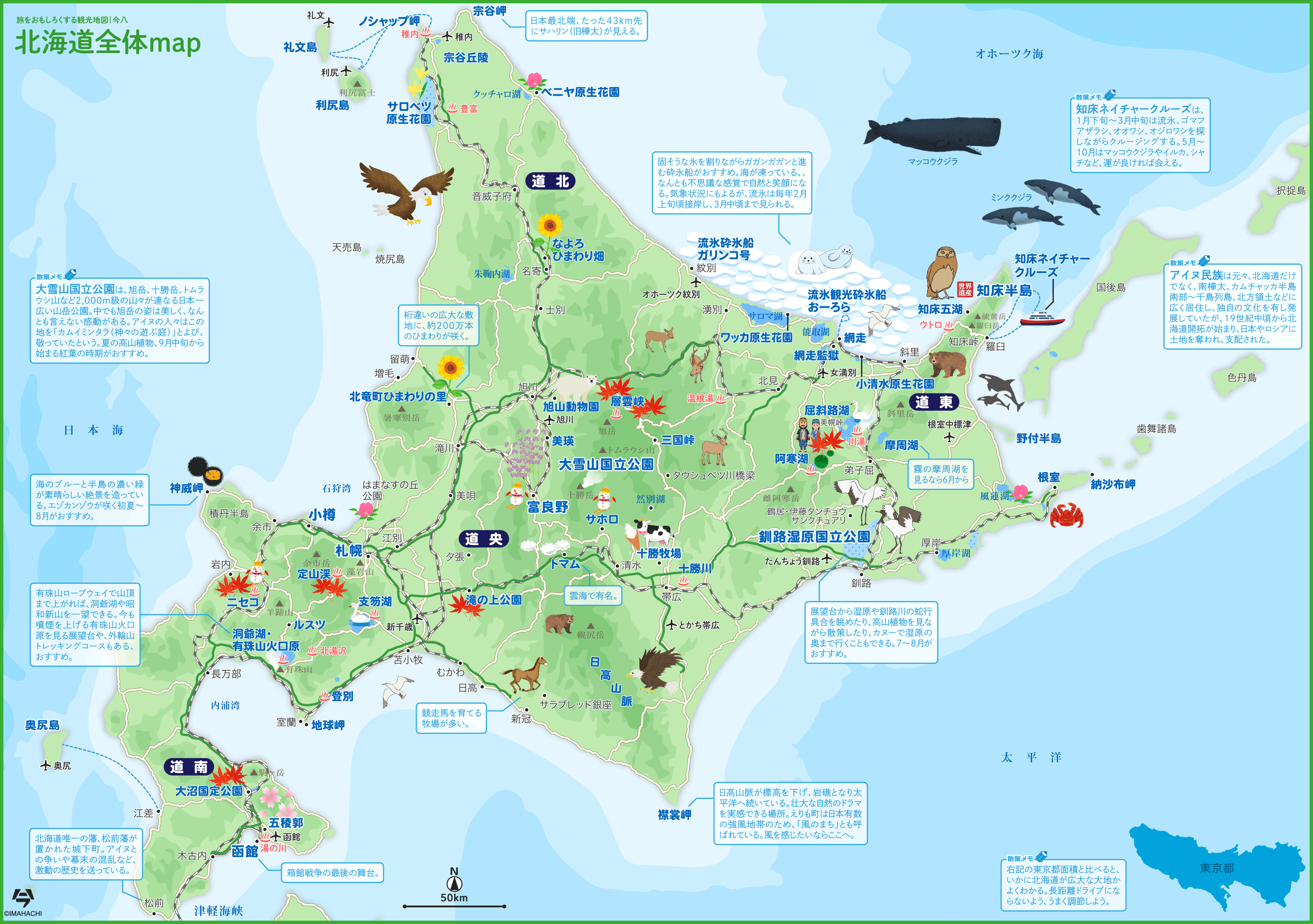 ビッグマップ 北海道全図ポスター 1,500mm×2,122mm– 地図のことなら塔文社