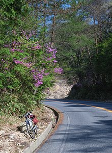 信楽でビワイチ？ アセボ峠-朝宮 2022_03_13風と山河と湖と