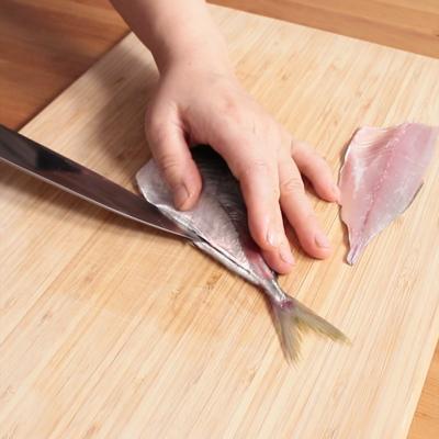 アジ釣りは『時期』が重要！ シーズンごとの傾向とポイントが合えば簡単に釣れますTSURI HACK