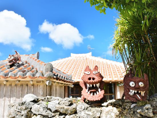 沖縄 西表島 由布島の水牛車の写真素材FYI01817687ストックフォトの Qlean