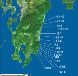 波旅みやざきサーフィン特集スポーツ特集宮崎県公式観光サイト「みやざき観光ナビ」
