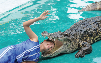 タランチュラ見て急ブレーキ、後続バイク突っ込む事故 米デスバレー - CNN.co.jp