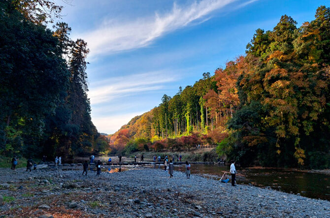 埼玉県の雄大な自然と現代アートを満喫する観光スポット14選│近畿日本ツーリスト