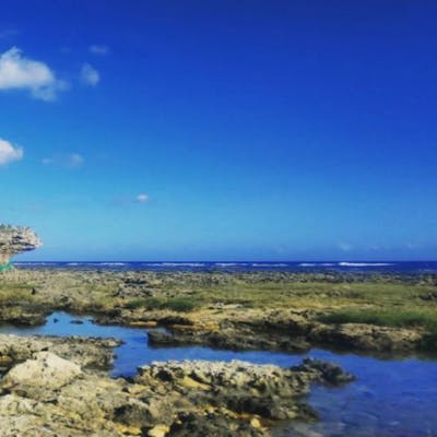 沖縄本島南部の八重瀬町「ホロホローの森」でトレッキングを楽しむ沖縄の観光情報はFeel Okinawa