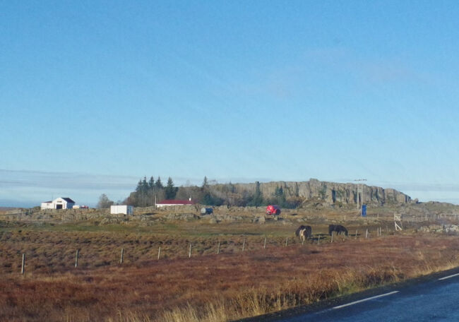 アイファーム 日本のイチゴをアイスランドの植物工場で生産New Venture Voice