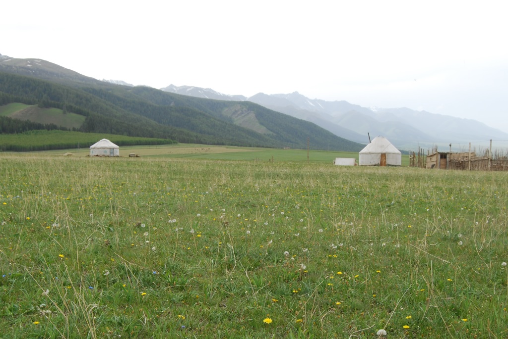 中国草原紀行！内モンゴル自治区の草原を堪能するコツGuanxi Times海外転職