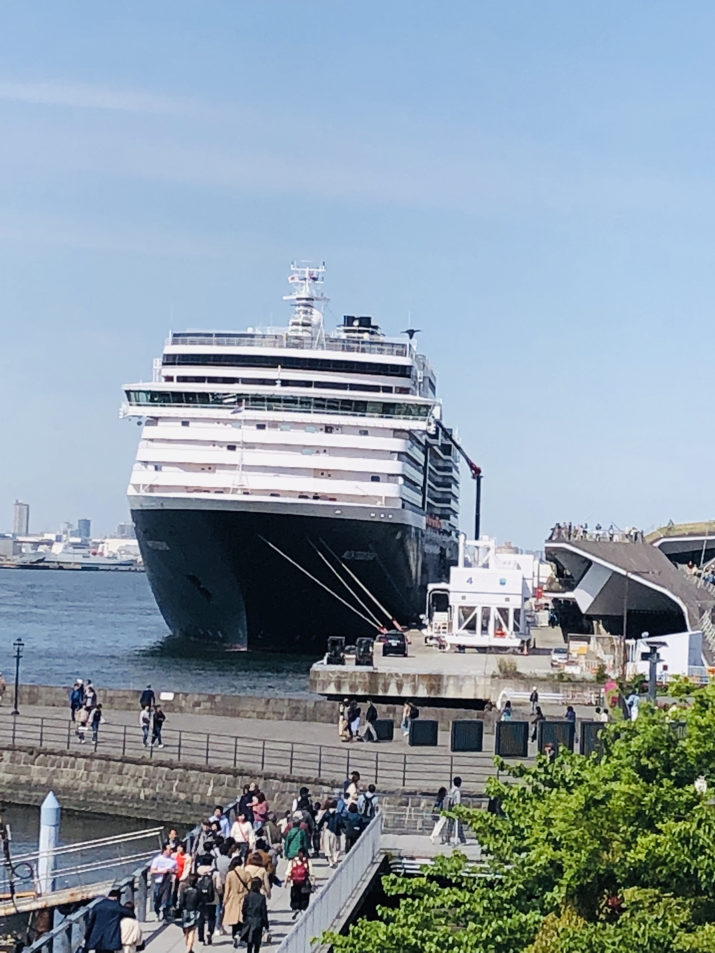 横浜港客船入港予定 にっぽん丸海と日本PROJECT in かながわ