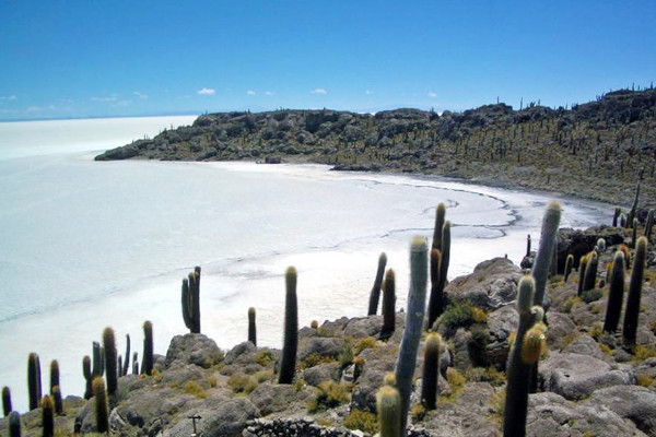 ボリビアの「ウユニ」へ行く前にチェック！お役立ち基本情報まとめ アクセス方法・ベストシーズン・注意事項などトラベルスタンダードジャパン