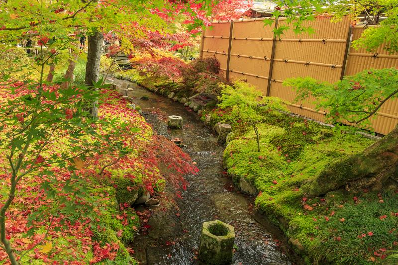 平安時代からの紅葉の名所・永観堂禅林寺観光FunJapo京都観光・グルメ・イベントなどのおすすめ情報
