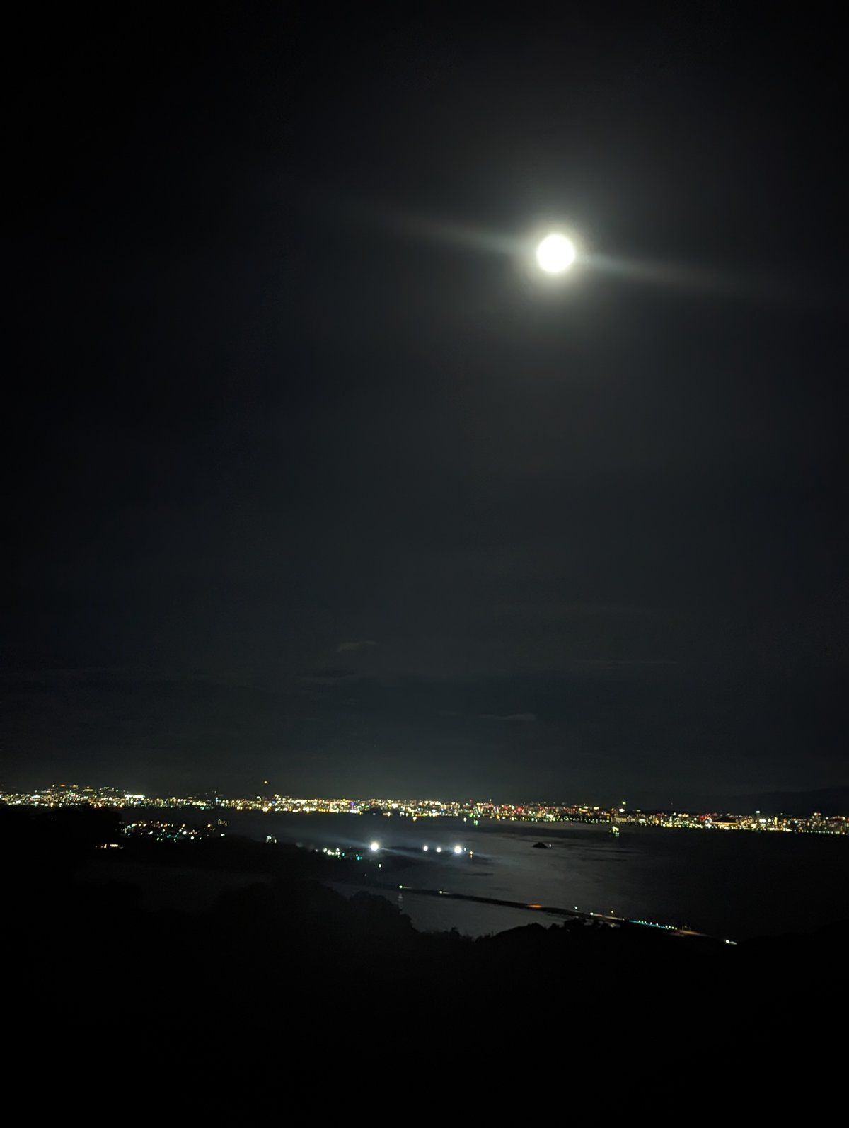 志賀島ドッグ@shikanoshimadogX