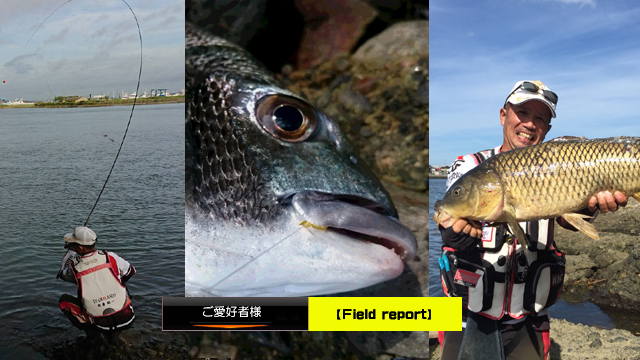 2019栃木県『タナゴ釣り』那珂川スポットでマタナGET！ - たなごGo