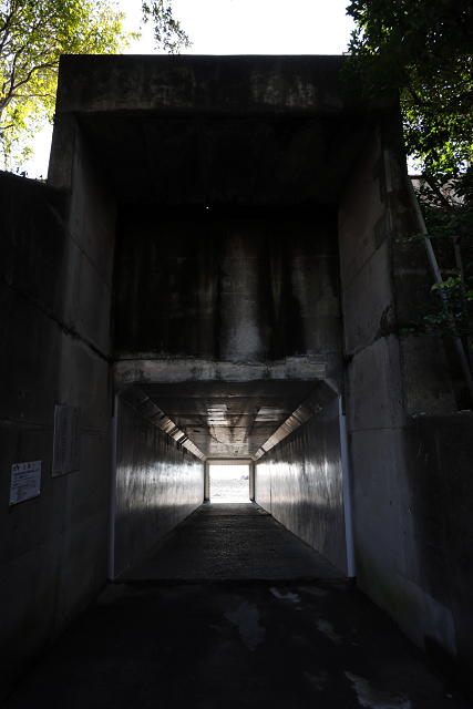 荒井浜海岸 荒井浜海水浴場見どころ・アクセス方法・周辺情報