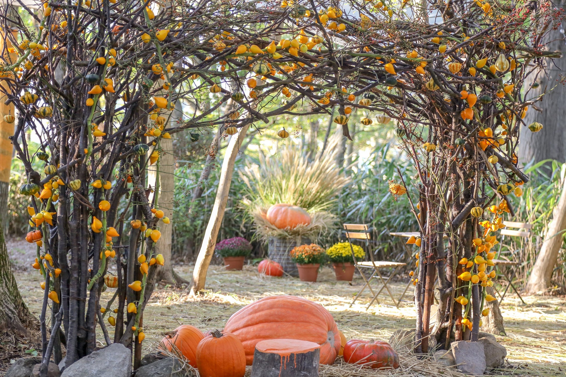 2023.9.25 ニコライバーグマン箱根ガーデンズ