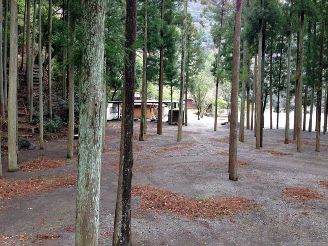 新緑の谷瀬の吊り橋十津川村観光協会お知らせ