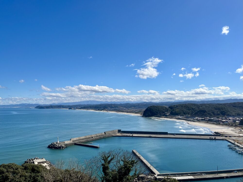 橋津港で釣れたアジの釣り・釣果情報 - アングラーズ釣果600万件の魚釣り情報サイト