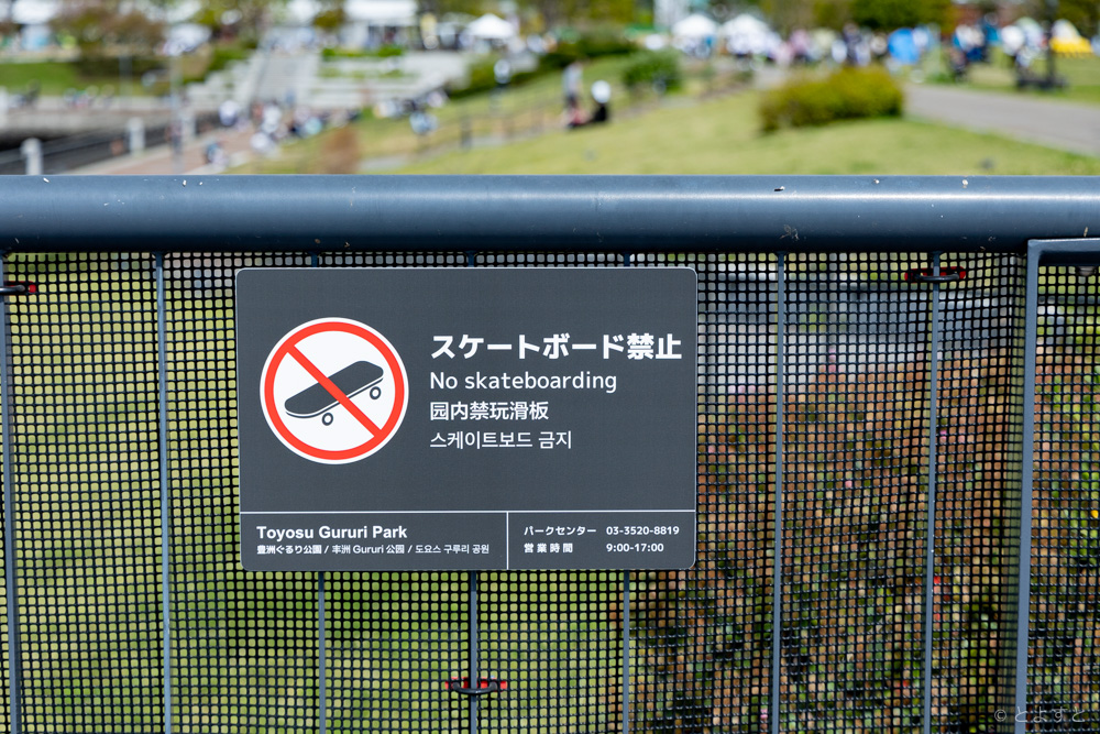 都内屈指の眺望！豊洲ぐるり公園で東京湾岸エリアの夜景を楽しもう江東区