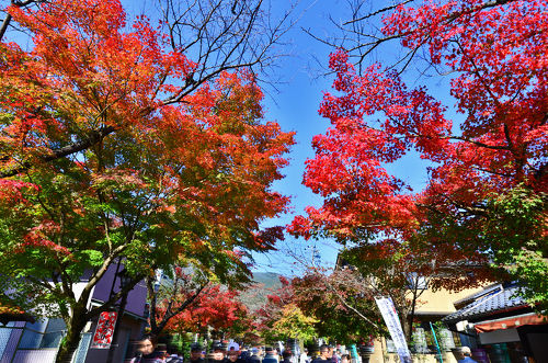 櫻井 昭さんの口コミ ：富岡屋 - Retty