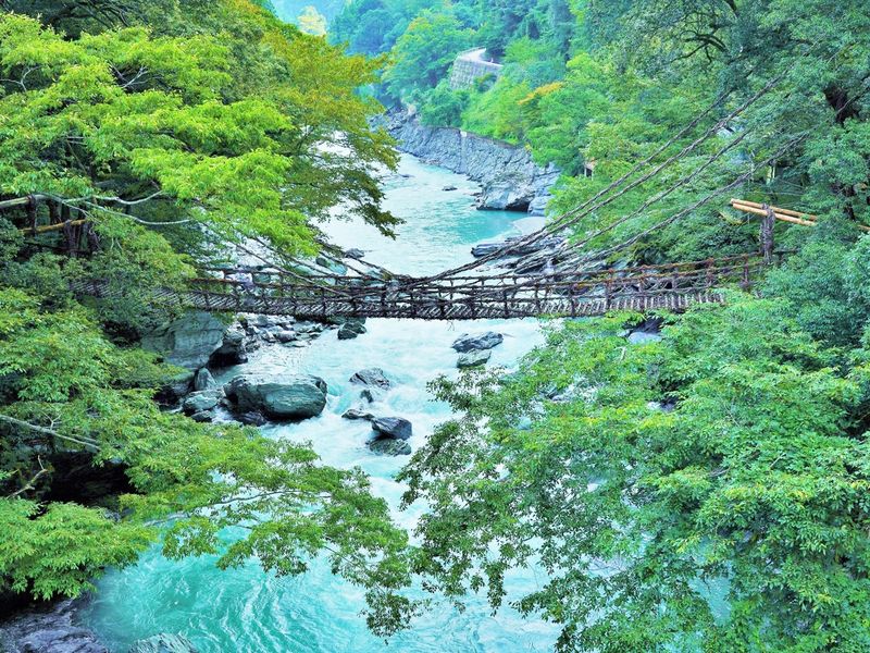 日本の秘境 奥祖谷二重かずら橋 徳島県三好市四国八十八景プロジェクト