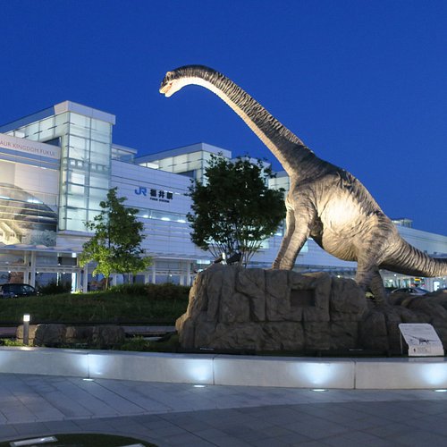 福井・絶景スポットおすすめ16選！ドライブで行こう！定番から穴場まで - じゃらんレンタカードライブガイド