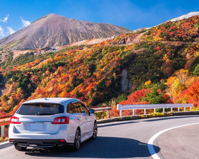 白砂渓谷ラインの紅葉紅葉情報2025