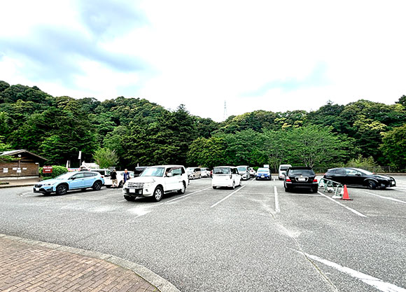 濃溝の滝・亀岩の洞窟〜 君津市にあります季節ごとの景色に癒される自然公園、みどころの幻想風景の濃溝の滝・亀岩の洞窟に行って来ました。遊歩道への散策は何度訪れても飽きる事がありません。滝を見下ろす高台にある 幸運の鐘 を響かせ、整備された階段を降りました
