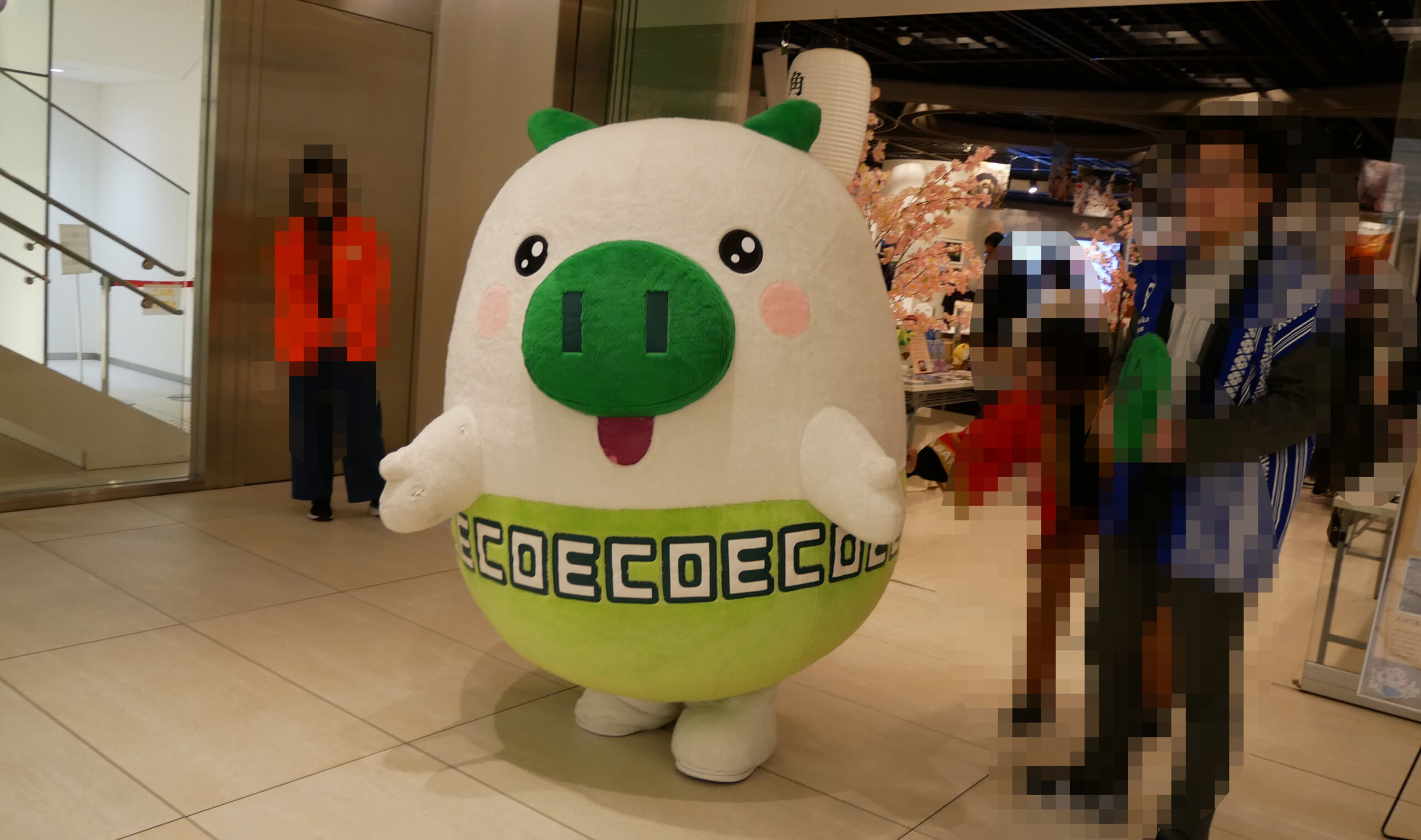 博多桃太郎 博多駅のお土産屋さん：合格祈願 くまモン ハローキティ