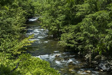 上高地にて⑥～渓流釣りイママサの山海旅