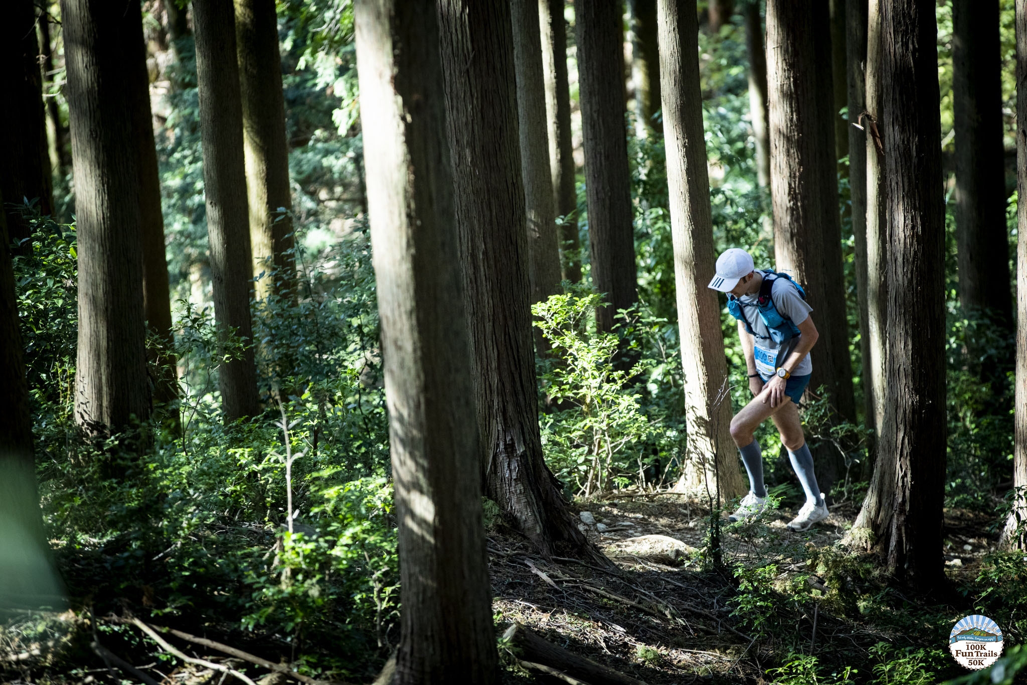 Oregon Trail- Oregon Trail