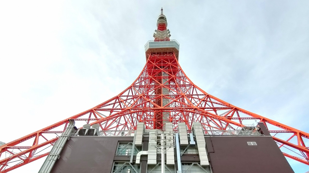 東京タワー×桜が見れるとっておきスポットTrip.com 東京
