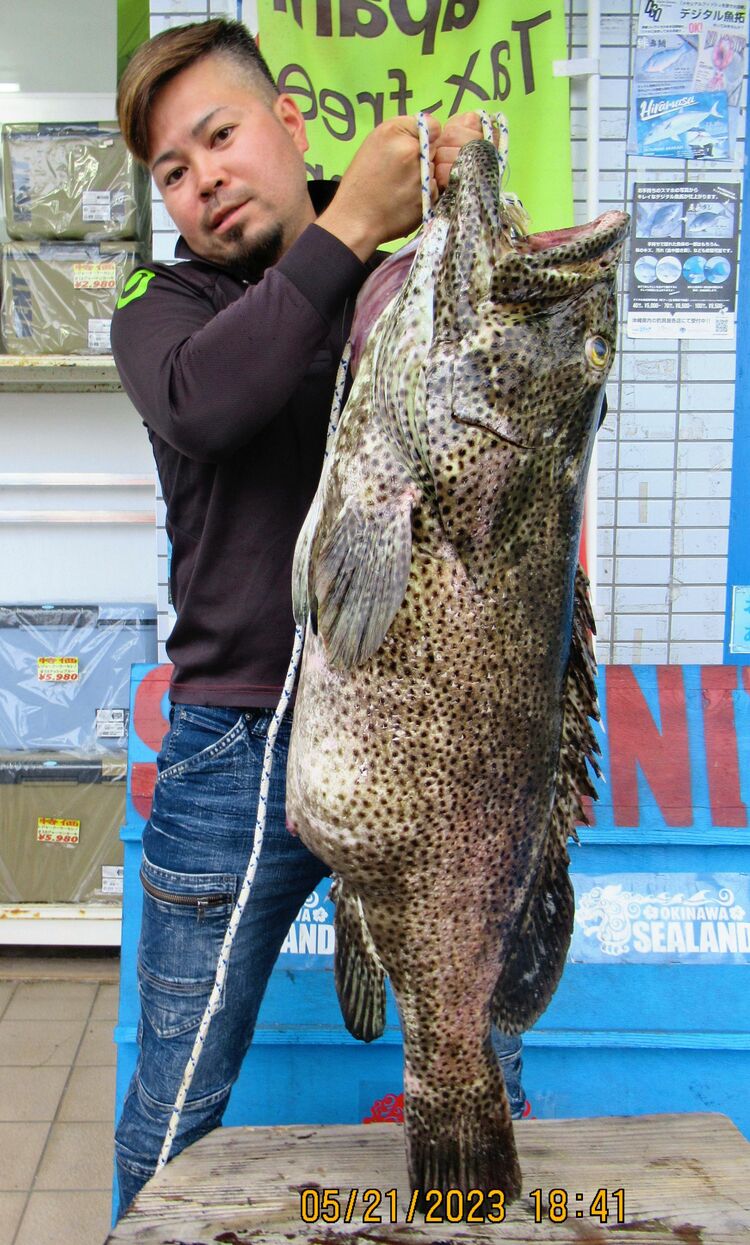 癒やしのミーバイフィッシング2沖縄ルアーフィッシングVlog