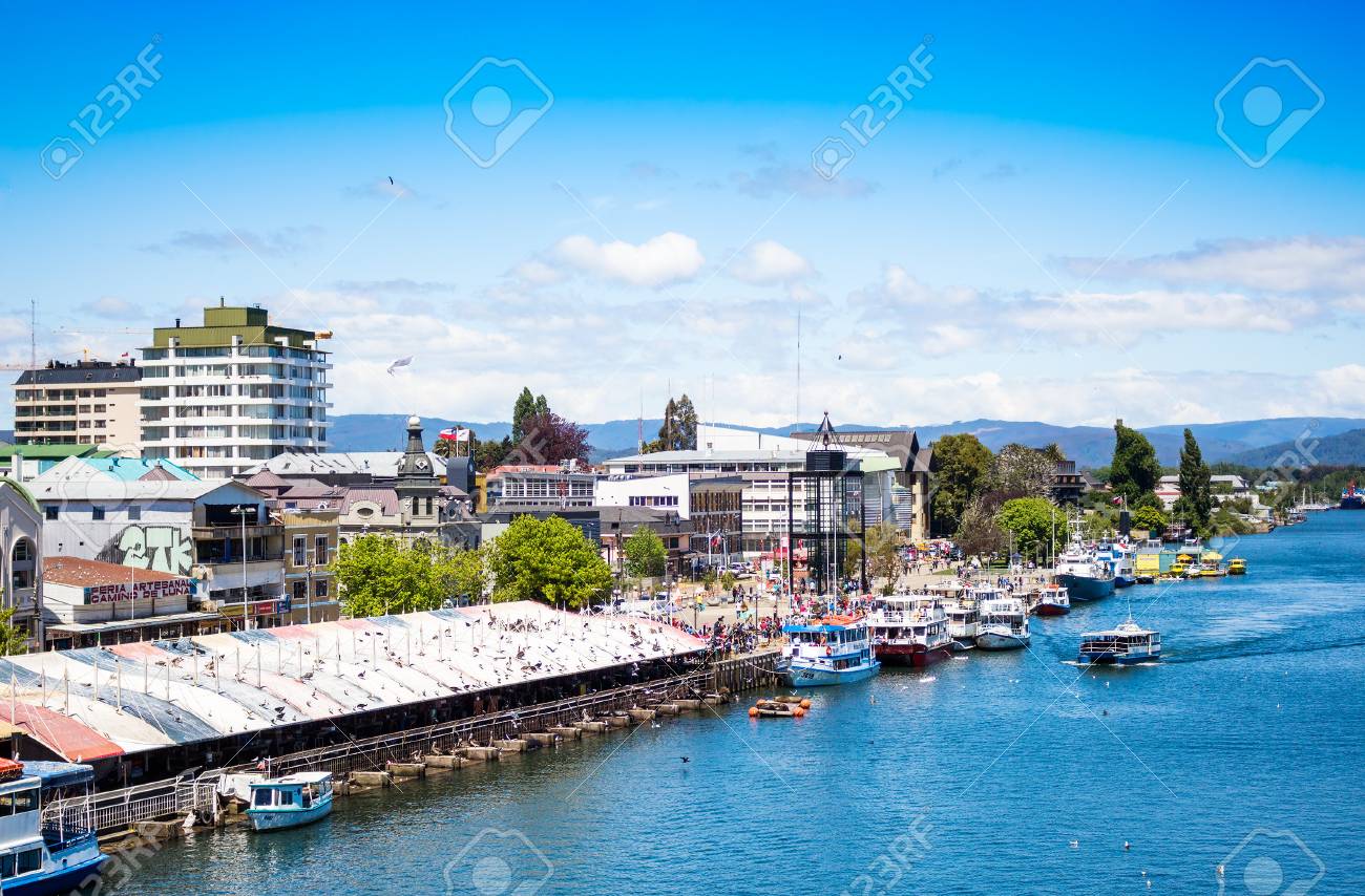 バルディビア チリ国旗：ユニークなデザイン、屋内 屋外使用