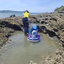 千葉県館山市・沖ノ島海水浴場で楽しむ！沖ノ島ダイビングサービスマリンスノーの本格シュノーケリング体験千葉ダイビングサービス協力会